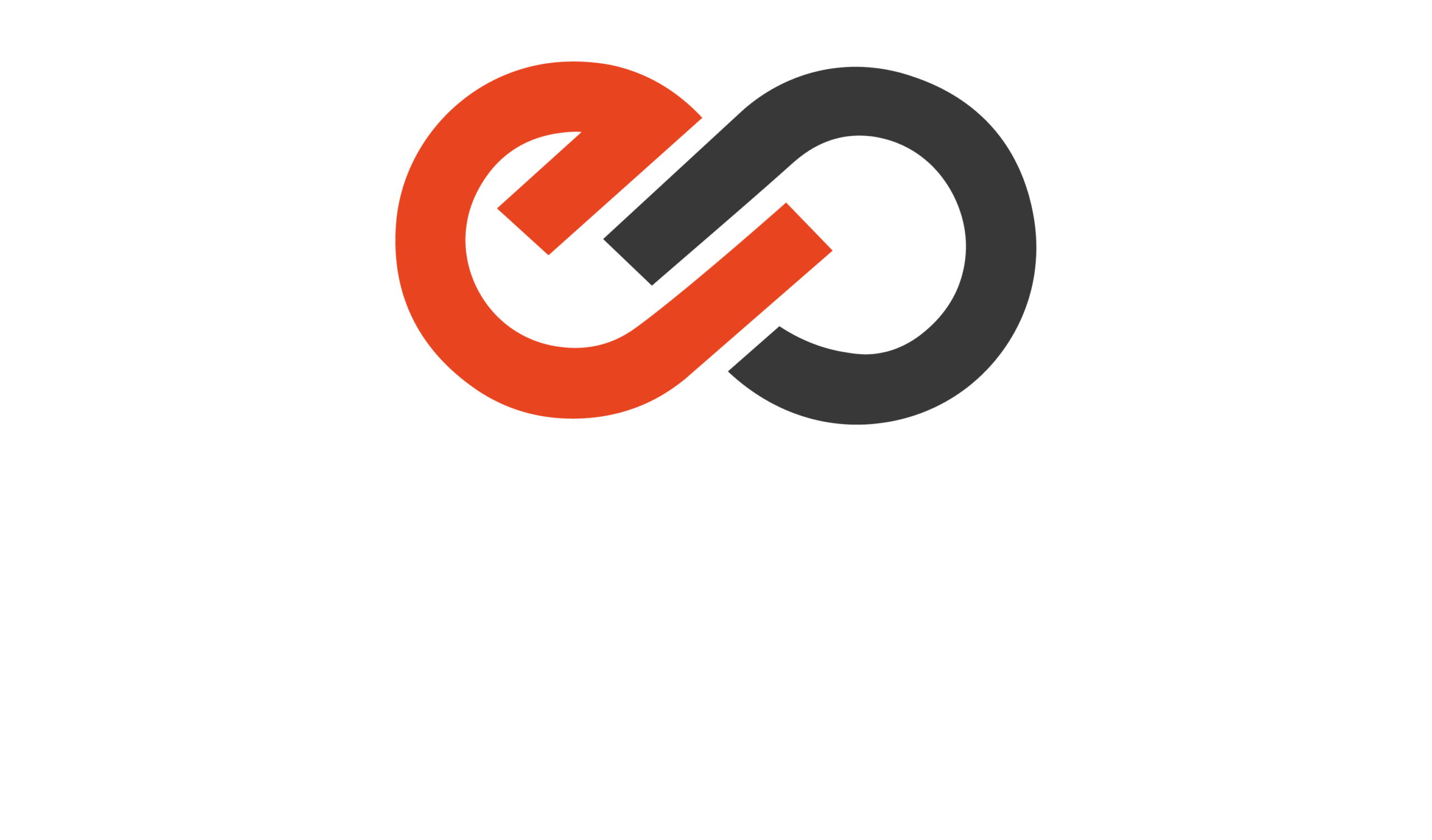 Encephalon Management Systems